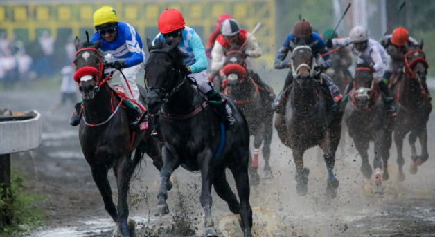 Fakta Unik dan Menarik di Dunia Balap Kuda Internasional