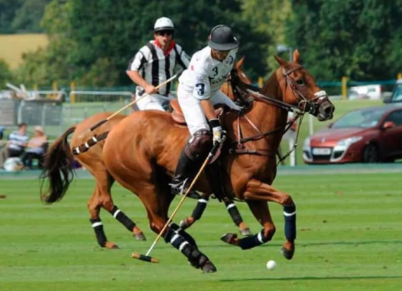 Olahraga Polo: Perbedaan Polo Lapangan dan Arena Polo